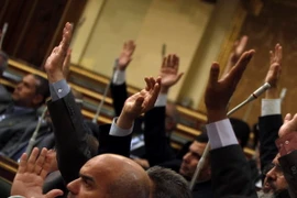 Các thành viên của đảng Anh em Hồi giáo giơ tay phê duyệt một đạo luật hồi đầu năm nay. (Nguồn: Reuters)