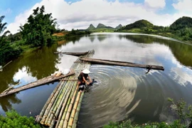 Tác phẩm "Bắc Sơn, miền quê yên ả" của Kim Bùi Mạnh. (Nguồn: VOV)