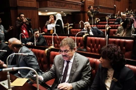 Ai Cập thông qua 4 điều còn lại của dự thảo hiến pháp 