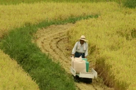 Ảnh minh họa. (Nguồn: AFP/Getty)