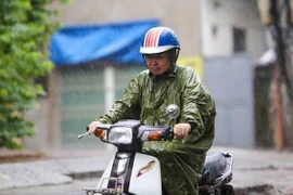 Ảnh chỉ có tính minh họa. (Ảnh: Lê Minh Sơn/Vietnam+)