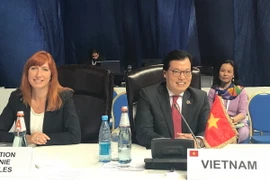 Đại sứ Dương Chí Dũng. (Ảnh: Tâm Hằng/Vietnam+)