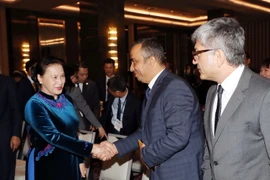 Chủ tịch Quốc hội Nguyễn Thị Kim Ngân gặp gỡ các doanh nghiệp Thổ Nhĩ Kỳ tham dự Tọa đàm Cơ hội kinh doanh-đầu tư Việt Nam-Thổ Nhĩ Kỳ. (Ảnh: Trọng Đức/TTXVN)