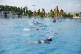 Ảnh chỉ có tính minh họa. (Ảnh: Hoài Thu/TTXVN)