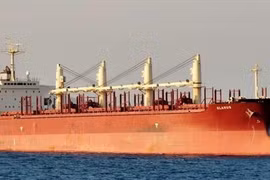 Tàu MV Glarus. (Nguồn: Marine Traffic/TTXVN)