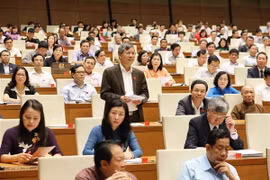 Đại biểu Quốc hội thành phố Hà Nội Nguyễn Anh Trí phát biểu. (Ảnh: Phương Hoa/TTXVN)