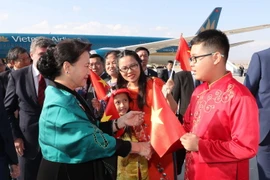 Cán bộ, nhân viên Đại sứ quán và đại diện cộng đồng người Việt tại Thổ Nhĩ Kỳ đón Chủ tịch Quốc hội Nguyễn hị Kim Ngân tại sân bay Quốc tế Esenboga, thủ đô Ankara. (Ảnh: Trọng Đức/TTXV