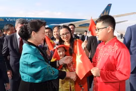 Cán bộ, nhân viên Đại sứ quán và đại diện cộng đồng người Việt tại Thổ Nhĩ Kỳ đón Chủ tịch Quốc hội Nguyễn hị Kim Ngân tại sân bay Quốc tế Esenboga, thủ đô Ankara. (Ảnh: Trọng Đức/TTXV