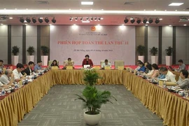 Quang cảnh phiên họp. (Ảnh: Đinh Văn Nhiều/TTXVN)