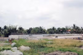 (Ảnh minh họa: Tiến Lực/TTXVN)