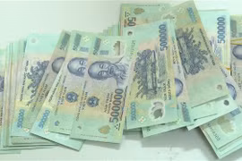 (Ảnh minh họa: Thế Duyệt/TTXVN)