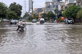 (Ảnh minh họa: Hiền Anh/TTXVN)
