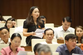 Đại biểu Quốc hội tỉnh Thanh Hóa Cầm Thị Mẫn phát biểu ý kiến. (Ảnh: Doãn Tấn/TTXVN)