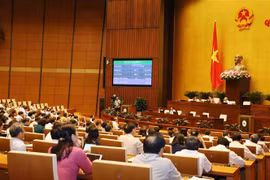 (Ảnh minh họa: Phương Hoa/TTXVN)