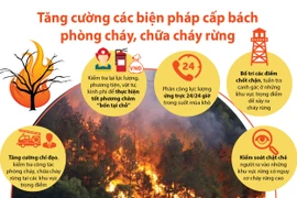 Tăng cường các biện pháp cấp bách phòng cháy, chữa cháy rừng