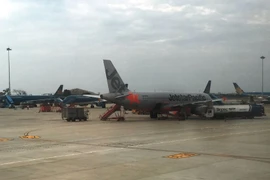 Vietnam Airlines, Jetstar vận chuyển đào, mai dịp Tết Nguyên Đán. (Ảnh: Việt Hùng/Vietnam+)