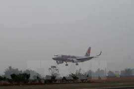 Ảnh minh họa. (Ảnh: TTXVN)