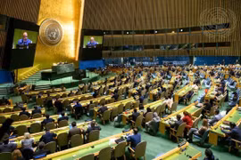 Đại hội đồng LHQ bầu Hội đồng Nhân quyền nhiệm kỳ 2024-2026