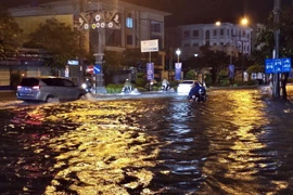 Thời tiết bất thường gây thiệt hại gần 40 tỷ đồng tại Sóc Trăng