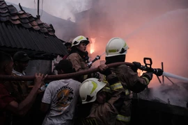 Indonesia nỗ lực dập tắt các đám cháy rừng giữa cao điểm mùa khô