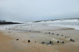 Phát hiện xác tàu cổ tại Hội An (Quảng Nam).