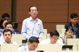 Đại biểu Quốc hội TP. Hồ Chí Minh Trần Hoàng Ngân phát biểu ý kiến. (Ảnh: Doãn Tấn/TTXVN)