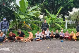 Triệt xóa tụ điểm đánh bạc giữa cánh đồng hoang ở Đồng Nai