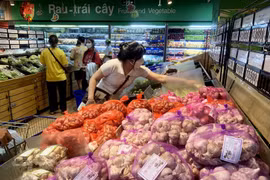 Thành phố Hồ Chí Minh đặt mục tiêu GRDP năm 2024 tăng từ 7,5-8%
