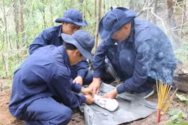 Ảnh minh họa. (Nguồn: TTXVN)