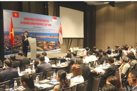 Toàn cảnh hội thảo. (Ảnh: Xuân Vịnh/TTXVN)