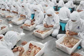 Chế biến hải sản xuất khẩu tại nhà máy ở thành phố Liên Vận Cảng, tỉnh Giang Tô, Trung Quốc ngày 5/7. (Nguồn: AFP/TTXVN)