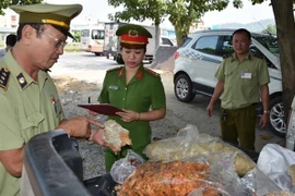 Lực lượng chức năng thu giữ số ruốc đã bốc mùi ôi thiu. (Ảnh: Trịnh Duy Hưng/TTXVN)