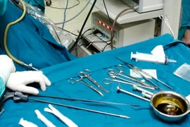 Ảnh minh họa. (Nguồn: TTXVN)