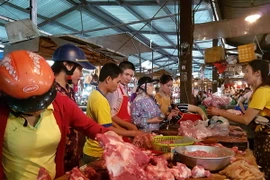 Ảnh minh họa. (Nguồn: TTXVN)