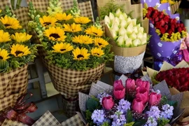 Ảnh minh họa. (Nguồn: THX/TTXVN)