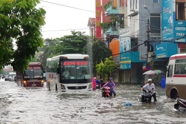 Ảnh minh họa. (Nguồn: TTXVN)