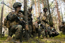 (Nguồn: marines.mil)