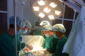 Ảnh minh họa. (Nguồn: TTXVN)