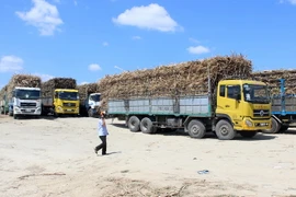 Xe chở mía nguyên liệu về Nhà máy đường KCP Phú Yên. (Ảnh: Thế Lập/TTXVN)