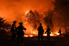 Lính cứu hỏa làm nhiệm vụ tại khu vực cháy rừng ở bang California, Mỹ ngày 1/8. (Ảnh: THX/TTXVN)