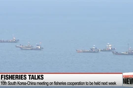 (Nguồn: Arirang News)