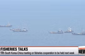 (Nguồn: Arirang News)