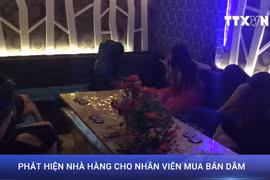 [Video] Đột kích nhà hàng lúc rạng sáng, phát hiện dịch vụ bán dâm