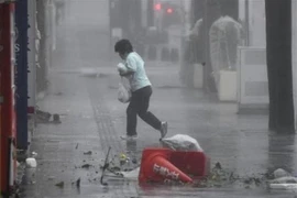 Mưa lớn khi bão Trami đổ vào Naha, tỉnh Okinawa ngày 29/9/2018. (Nguồn: Kyodo/TTXVN)