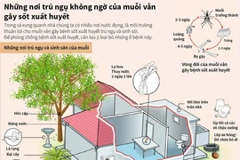 [Infographics] Loại bỏ nơi trú ngụ của muỗi vằn gây sốt xuất huyết