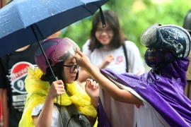 Ảnh minh họa. (Nguồn: Thanh Tùng/TTXVN)