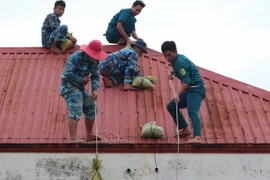 Chằng chống phòng bão tại Cà Mau. (Ảnh: Huỳnh Thế Anh/TTXVN)