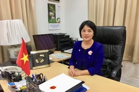 Đại sứ đặc mệnh toàn quyền nước CHXHCN Việt Nam tại Singapore Tào Thị Thanh Hương trả lời phỏng vấn của phóng viên TTXVN. (Ảnh: TTXVN)