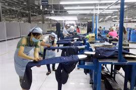 Dây chuyền sản xuất của Công ty may Padmac Viet Nam Limited Liability Conpany, thuộc tập đoàn Ospinter, CHLB Đức tại Khu Công nghiệp Bảo Minh, huyện Vụ Bản, Nam Định. (Ảnh: Văn Đạt/TTXVN)