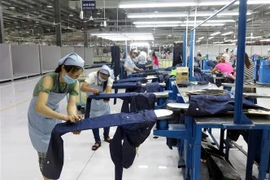 Dây chuyền sản xuất của Công ty may Padmac Viet Nam Limited Liability Conpany, thuộc tập đoàn Ospinter, CHLB Đức tại Khu Công nghiệp Bảo Minh, huyện Vụ Bản, Nam Định. (Ảnh: Văn Đạt/TTXVN)